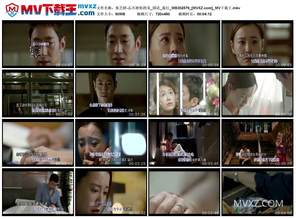 张艺婷-忘不掉你的美_国语_流行_MB302579